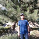 ���������� ������, ���� ������� ������, 38 ���, ������������ ��� c�������� ���������