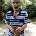 ���������� ����, ���� ������� ����, 60 ���, ������������ ��� ������, ����� � ���������, c�������� ���������