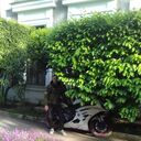 ���������� �����������, ���� ������� ������, 38 ���, ������������ ��� ������, ����� � ���������, c�������� ���������, ���������