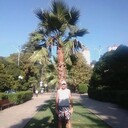 ���������� ������������, ���� ������� �������, 46 ���, ������������ ��� ������, ����� � ���������