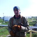 ���������� ����, ���� ������� ������, 43 ����, ������������ ��� ������, ����� � ���������, c�������� ���������