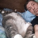  -,   , 55 ,   ,   , c 