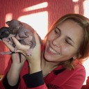 ���������� ��������-���������, ���� ������� �������, 44 ����, ������������ ��� ������, ����� � ���������, c�������� ���������