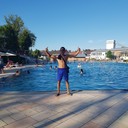   ,   Ferdigotin, 38 ,   ,   , c , 