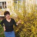  ,   , 58 ,   c 