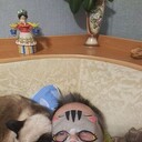 ���������� �����, ���� ������� ����, 42 ����, ������������ ��� c�������� ���������