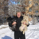  ,   , 65 ,   