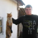 ���������� ������, ���� ������� ARTEM, 36 ���, ������������ ��� ������, ����� � ���������, c�������� ���������