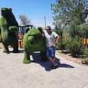 ���������� �������, ���� ������� �������, 44 ����, ������������ ��� ������, ����� � ���������, c�������� ���������