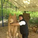 ���������� ���������, ���� ������� ������� ���, 42 ����, ������������ ��� ������, ���������