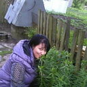  ,   , 44 ,   ,   , c 