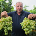 ���������� ���������, ���� ������� �����, 47 ���, ������������ ��� ������, ����� � ���������, c�������� ���������