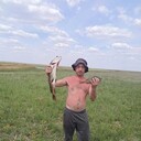 ���������� ��������, ���� ������� ���������, 40 ���, ������������ ��� ������