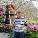  ,   , 61 ,   , c , 