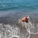 ���������� ���, ���� ������� ������, 55 ���, ������������ ��� ������, ����� � ���������, c�������� ���������