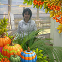  ,   , 51 ,   ,   , c 