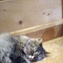 ���������� �����-���������, ���� ������� �������, 35 ���, ������������ ��� ������, ����� � ���������