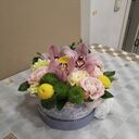 ���������� ����, ���� ������� ������, 47 ���, ������������ ��� ������, ����� � ���������