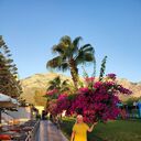 ���������� ������������, ���� ������� �����, 61 ���, ������������ ��� ����� � ���������, c�������� ���������