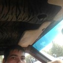 ���������� ��������, ���� ������� ���������, 31 ���, ������������ ��� ������, ����� � ���������, c�������� ���������