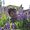  ,   , 54 ,   c 