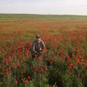 ���������� ������, ���� ������� ����, 35 ���, ������������ ��� c�������� ���������