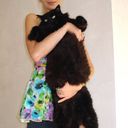 ���������� ������, ���� ������� ��������, 34 ����, ������������ ��� ���������