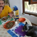 ���������� ������������, ���� ������� Dr Lues, 51 ���, ������������ ��� ������