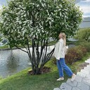 ���������� ������, ���� ������� �����, 27 ���, ������������ ��� ����� � ���������, c�������� ���������