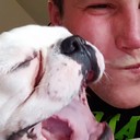 ���������� ����, ���� ������� Greed, 32 ����, ������������ ��� ������, ����� � ���������, c�������� ���������, ���������