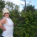   ,   , 60 ,   ,   , c 