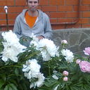  ,   , 51 ,   