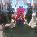 ���������� ������, ���� ������� �����, 27 ���, ������������ ��� ������, ����� � ���������, c�������� ���������