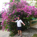 ���������� ������, ���� ������� KV2409, 48 ���, ������������ ��� ������, ����� � ���������, c�������� ���������