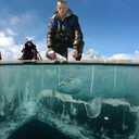 ���������� �����������, ���� ������� ����, 61 ���, ������������ ��� ������, ����� � ���������, c�������� ���������, ���������