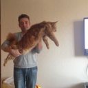 ���������� ������, ���� ������� �������, 52 ����, ������������ ��� ������