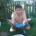  ,   , 53 ,   