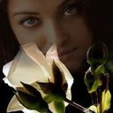 ���������� ���������, ���� ������� �������, 40 ���, ������������ ��� ����� � ���������, c�������� ���������