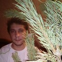 ���������� ������, ���� ������� ���������, 36 ���, ������������ ��� ����� � ���������, c�������� ���������