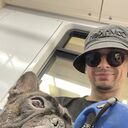 ���������� ������, ���� ������� Han, 30 ���, ������������ ��� ������, ����� � ���������