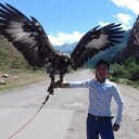 ���������� ������, ���� ������� ������, 27 ���, ������������ ��� ������, ����� � ���������, c�������� ���������, ���������