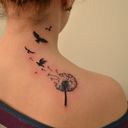 ���������� ������, ���� ������� �����, 41 ���, ������������ ��� ������, ����� � ���������, c�������� ���������