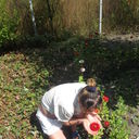 ���������� ����, ���� ������� ������, 38 ���, ������������ ��� ������, ����� � ���������, c�������� ���������