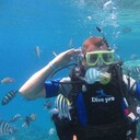 ���������� ������, ���� ������� ����, 50 ���, ������������ ��� ������, ����� � ���������, c�������� ���������, ���������