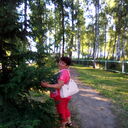  ,   , 51 ,   ,   