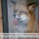 ���������� ��������, ���� ������� �������, 35 ���, ������������ ��� ������, c�������� ���������, ���������