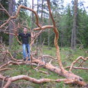 ���������� ���������, ���� ������� �������, 45 ���, ������������ ��� ������, ����� � ���������, c�������� ���������