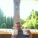 ���������� �����, ���� ������� ��������, 51 ���, ������������ ��� ����� � ���������, c�������� ���������