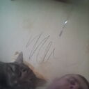  ,   Anderej, 42 ,   ,   , c 