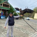  ,   , 40 ,   ,   , c , 